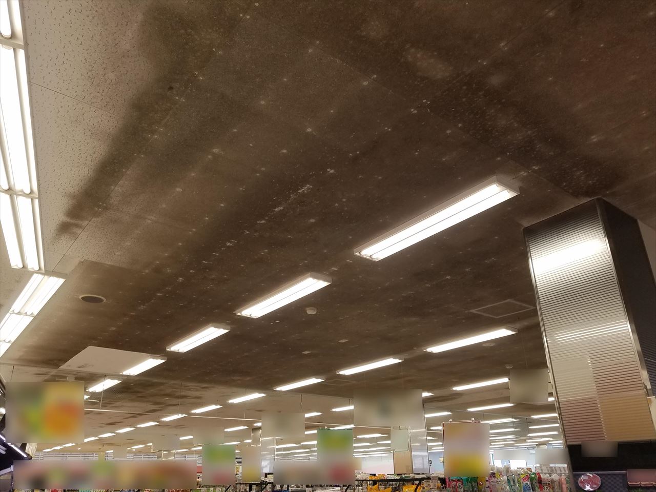 食品工場 スーパー店舗向けカビ対策ならbansystem 事業内容 株式会社アルシアン