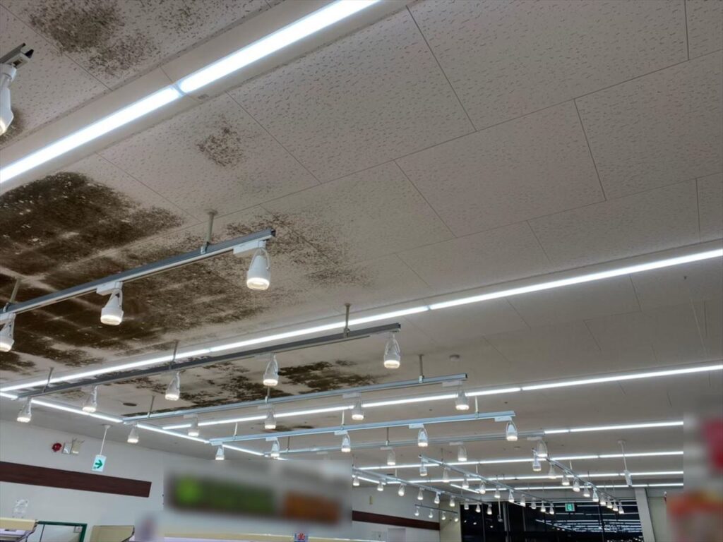 スーパーマーケット天井に生えてしまったカビ